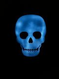 Preorder Glow in the Dark Skull Sweatshirt